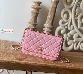 Chanel Wallet On Chain With Gold-tone Chain 22 Pink A80982 19cm