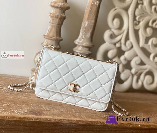 Chanel Wallet On Chain With Gold-tone Chain 22 White A80982 19cm - 1