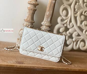 Chanel Wallet On Chain With Gold-tone Chain 22 White A80982 19cm