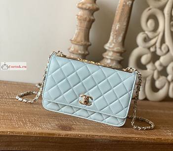 Chanel Wallet On Chain With Gold-tone Chain 22 Light Blue A80982 19cm