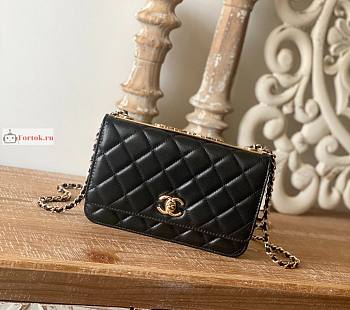 Chanel Wallet On Chain With Gold-tone Chain 22 Black A80982 19cm