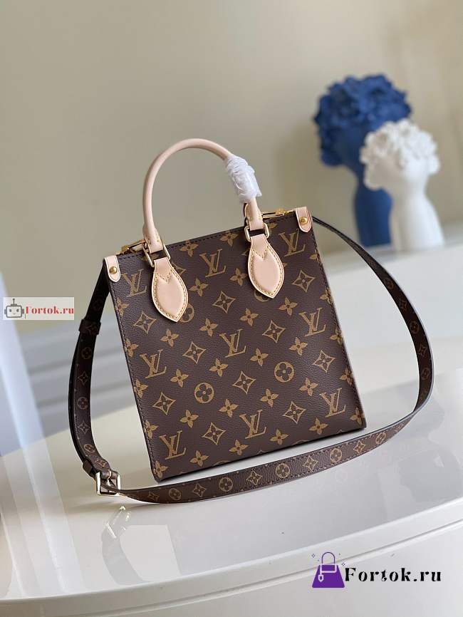 Louis Vuitton Sac Plat BB M45847 21.5x22x9cm - 1