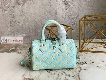 Louis Vuitton Speedy Bandouliere 20 Sprayed Green M46092 20.5x13.5x12cm