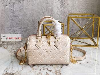 Louis Vuitton Speedy Bandouliere 20 Sprayed Beige M46163 20.5x13.5x12cm