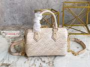 Louis Vuitton Speedy Bandouliere 20 Sprayed Beige M46163 20.5x13.5x12cm - 4