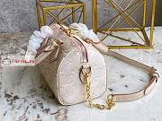 Louis Vuitton Speedy Bandouliere 20 Sprayed Beige M46163 20.5x13.5x12cm - 2