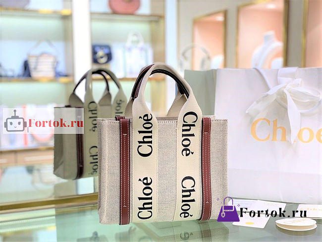 Chloe Small Woody Tote Bag Brown 26.5x20x8cm - 1
