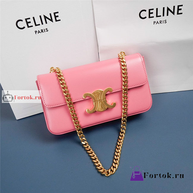 Celine Chain Shoulder Bag In Leather Pink 197992 20.5x10.5x4cm - 1