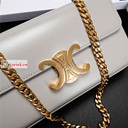 Celine Chain Shoulder Bag In Leather Pale Grey 197992 20.5x10.5x4cm - 6