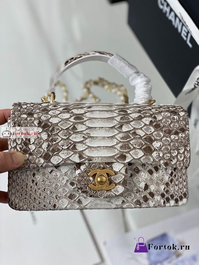 Chanel Classic Flap Bag In Python Leather 20x7x14cm - 1