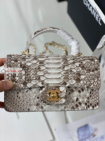 Chanel Classic Flap Bag In Python Leather 20x7x14cm