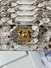 Chanel Classic Flap Bag In Python Leather 20x7x14cm - 6