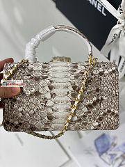 Chanel Classic Flap Bag In Python Leather 20x7x14cm - 5