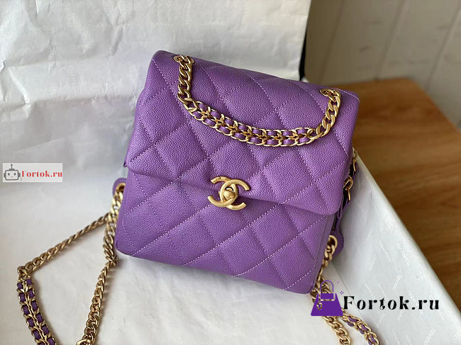 Chanel Backpack In Grained Leather Purple AS3108 20x19x8cm  - 1