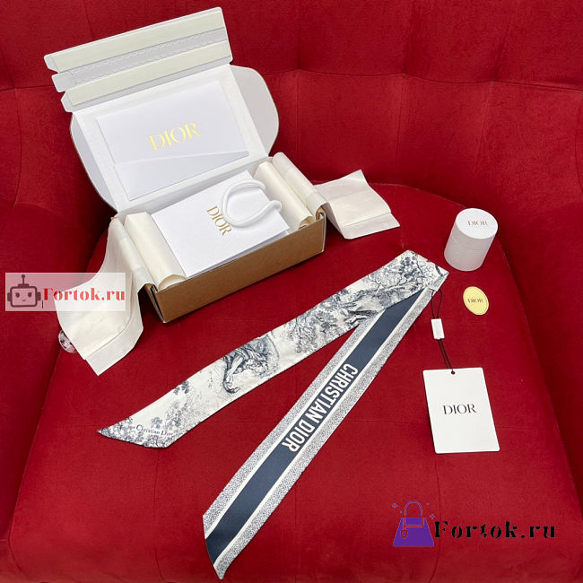 Dior Toile De Jouy Mitzah Scarf Blue Silk - 1