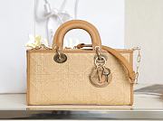 Dior Lady D-Joy Raffia Cannage M0540 26x13.5x5cm - 6