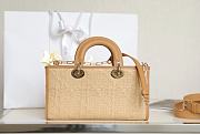 Dior Lady D-Joy Raffia Cannage M0540 26x13.5x5cm - 4