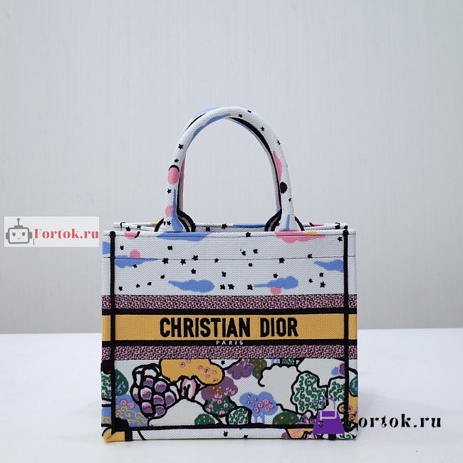 Dior Small Book Tote Ciel de Reve Embroidery M1265 26.5x21x14cm  - 1