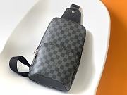 Louis Vuitton AVENUE SLING BAG 3528 31cm - 1