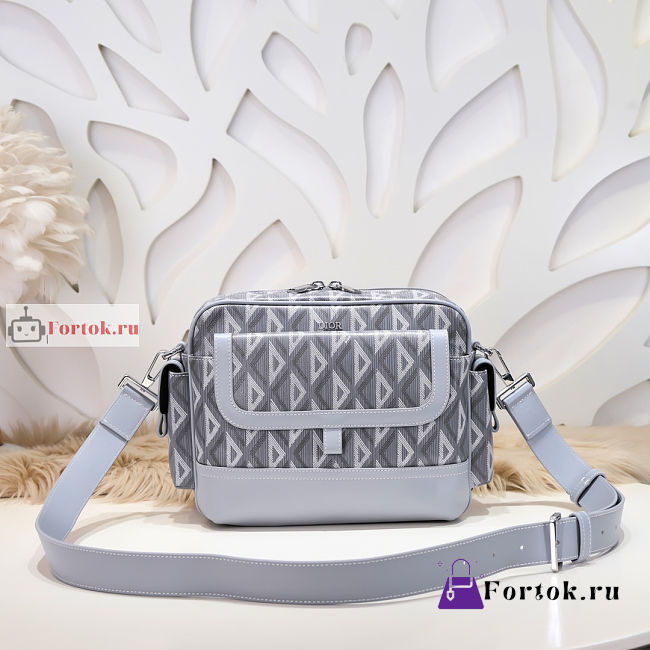 Dior Hit The Road Messenger Bag Gray 1ESME 26x21x8cm - 1