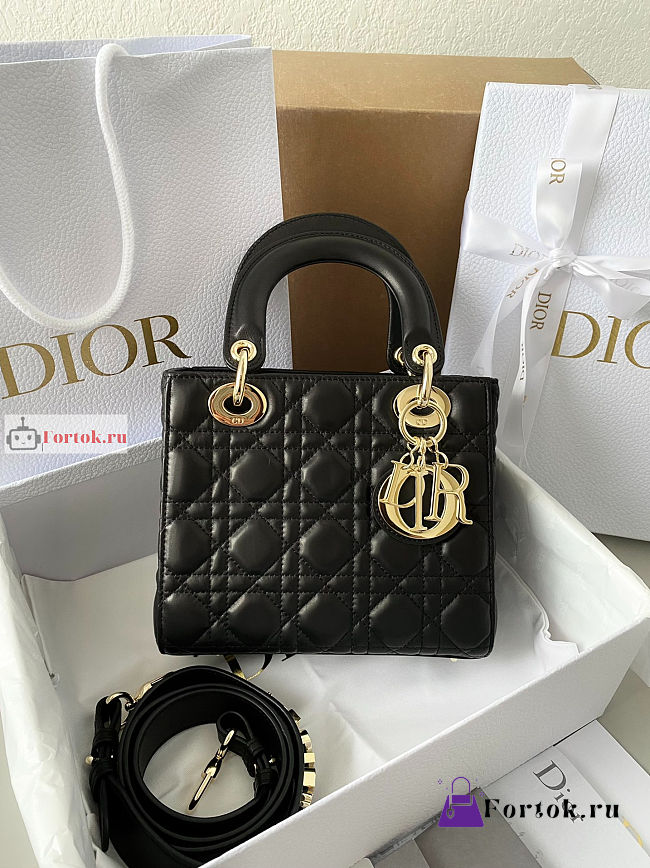 Dior Mini Lady Dior Bag In Leather Black M0505 17×15×7cm - 1
