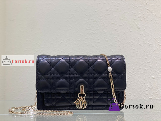 Dior Lady Chain Pouch Black S0937 19.5x12.5x5cm - 1