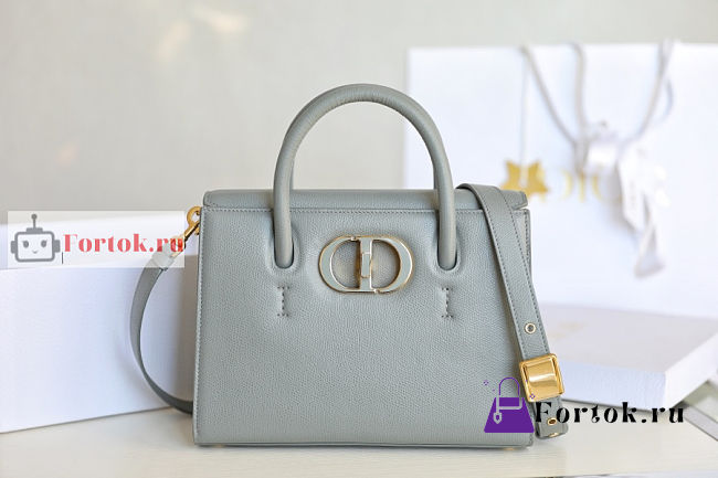 Dior 30 Montaigne St Honore 25x19x12cm - 1