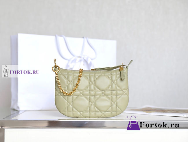 Mini Dior Caro Tulip Bag 25x16x2.5cm - 1