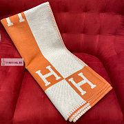 Hermes Scarf 01 170x135cm - 5