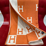 Hermes Scarf 01 170x135cm - 4