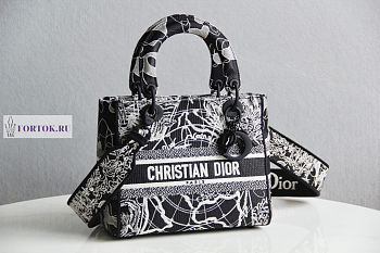 Dior Medium Lady D-Lite Around The World 24x20x11cm