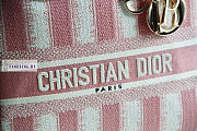 Dior Medium Lady D-Lite Bayadère D-Stripes Pink 24x20x11cm - 6