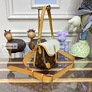 LV Diane Cozy Bag M46317 24x15x9cm - 3