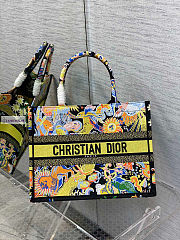 Dior Multicolor Zodiac Fantastico Embroidery 36x18x28cm - 1