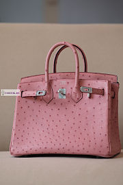 Hermes Pink Ostrich Leather Birkin 25/30/35cm - 1