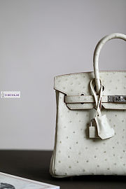 Hermes White Ostrich Leather Birkin 25/30/35cm - 5