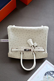 Hermes White Ostrich Leather Birkin 25/30/35cm - 4