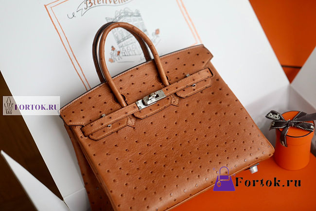 Hermes Brown Ostrich Leather Birkin 25/30/35cm - 1