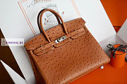 Hermes Brown Ostrich Leather Birkin 25/30/35cm - 1