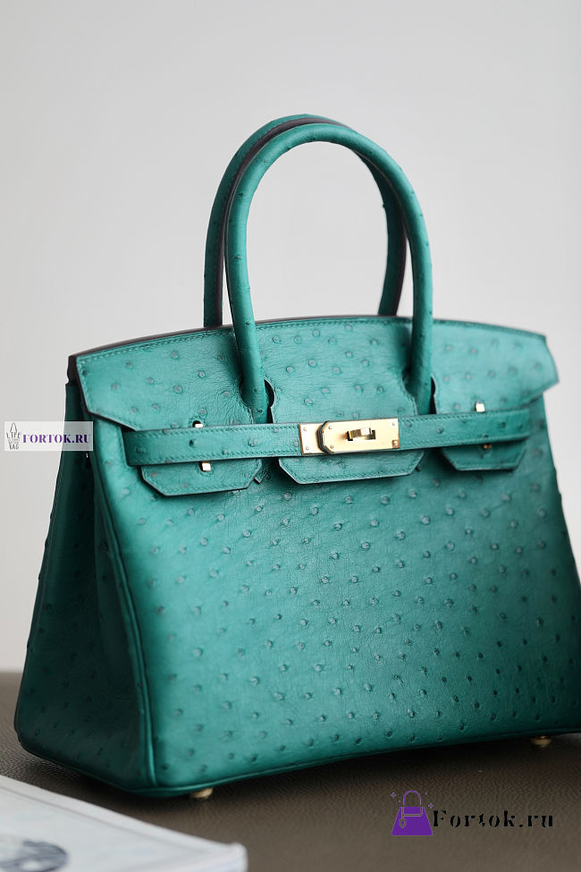 Hermes Green Ostrich Leather Birkin 25/30/35cm - 1