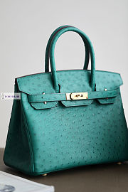 Hermes Green Ostrich Leather Birkin 25/30/35cm - 1