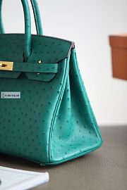 Hermes Green Ostrich Leather Birkin 25/30/35cm - 4