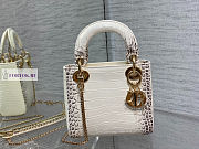 Dior Lady Crocodile Skin 17x15x7cm - 1