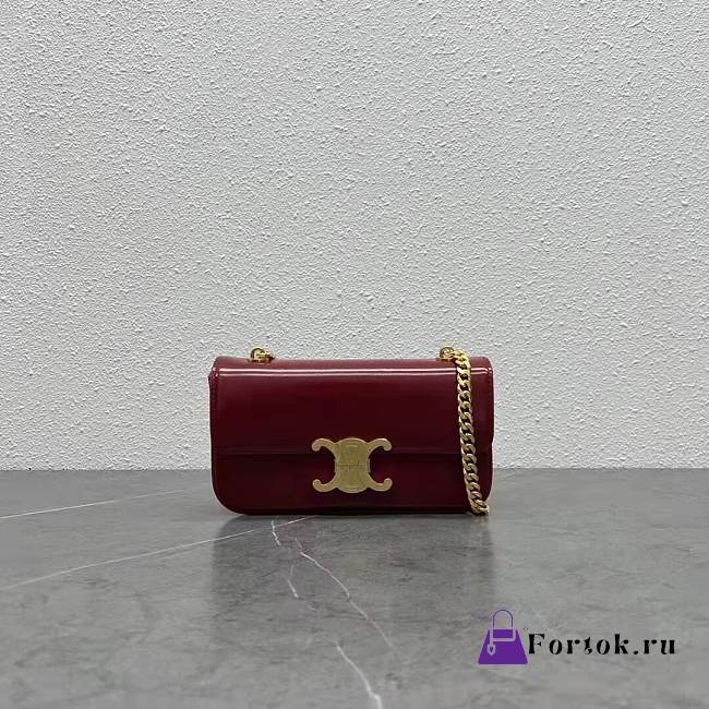 Celine Chain Shoulder Bag In Leather Dark Red 197992 20.5x10.5x4cm - 1