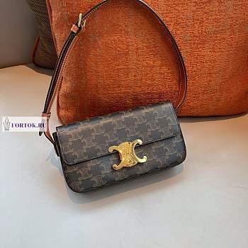 Celine Triomphe 20cm 570595