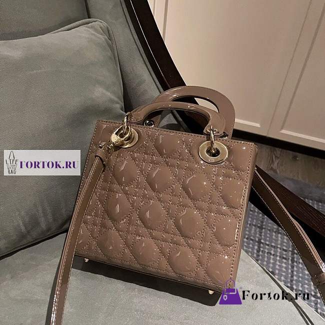 Lady Dior 570645 20cm - 1