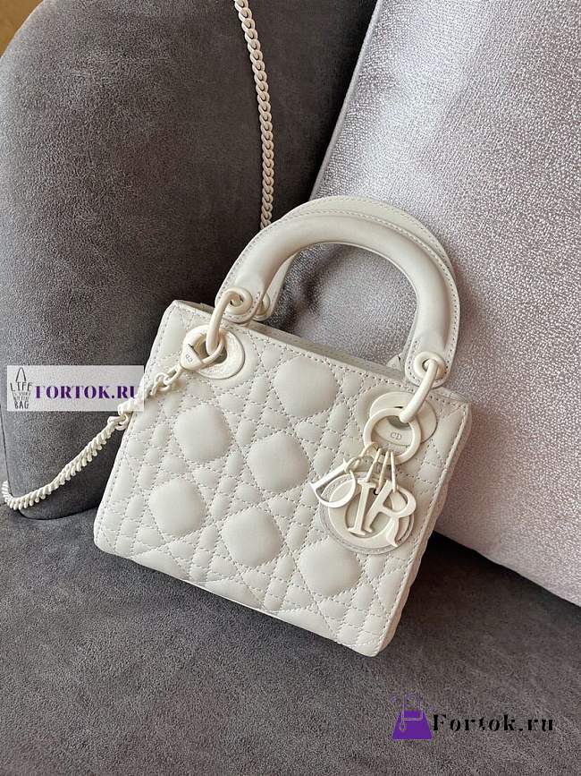 Lady Dior 570658 17cm - 1