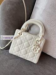 Lady Dior 570658 17cm - 1