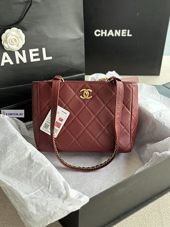 Chanel AS3508 25X19.5X10 cm