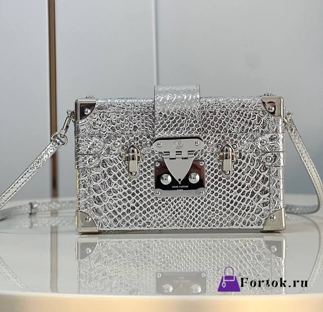 Louis Vuitton PETITE MALLE Silver Bag - N81583 - 20x12.5x6cm - 1